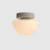 Pensee Wall/Ceiling Light