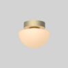 Pensee Wall/Ceiling Light