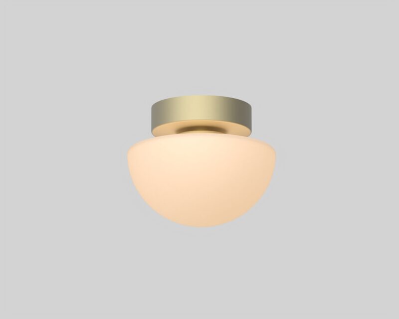 Pensee Wall/Ceiling Light