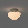 Pensee Wall/Ceiling Light