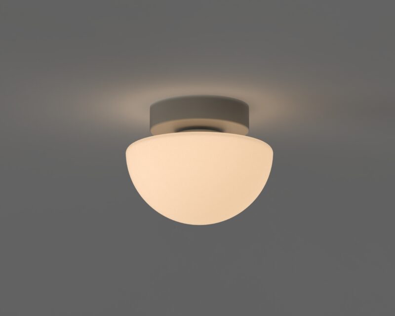 Pensee Wall/Ceiling Light