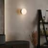 Pensee Wall/Ceiling Light
