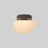 Pensee Wall/Ceiling Light