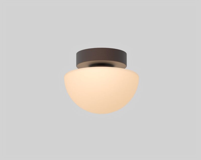 Pensee Wall/Ceiling Light