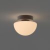 Pensee Wall/Ceiling Light